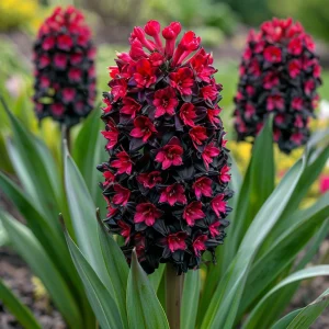 Гиацинт Джем Стоун купить по цене от 2099р. в интернет-магазине «Посадика» с доставкой почтой в в Петрозаводске и по всей России – [изображение №1].